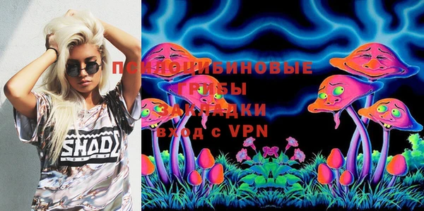 бошки Снежинск