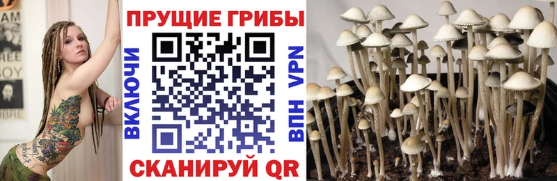 Галлюциногенные грибы ЛСД  Мышкин 